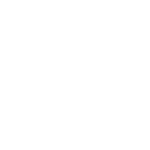Novel